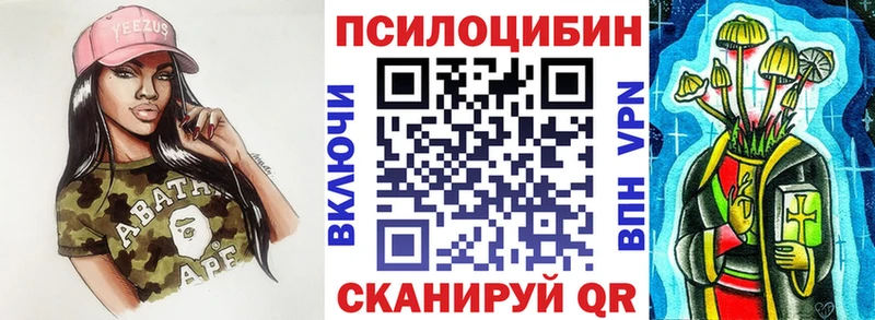 сайты даркнета клад  Каменногорск  Галлюциногенные грибы Psilocybine cubensis 